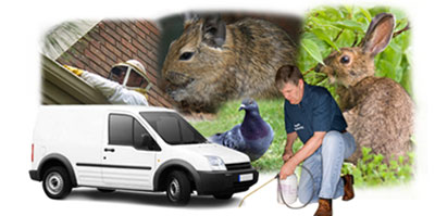 Audenshaw local van